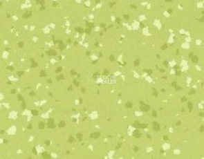 Taralay Premium Brazilia 8577 Amazonas фото 1 | FLOORDEALER